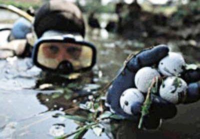 عجیب ترین شغل دنیا