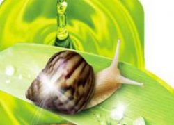 کرم حلزون هم تقلبی از آب در آمد