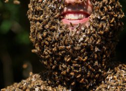 مردي با ريش زنبوري + تصاوير