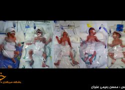 تولد 5 قلوهاي مشهدي + تصاوير