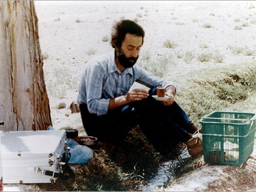 نظر شما در مورد این عکس چیست؟ /سهراب سپهری