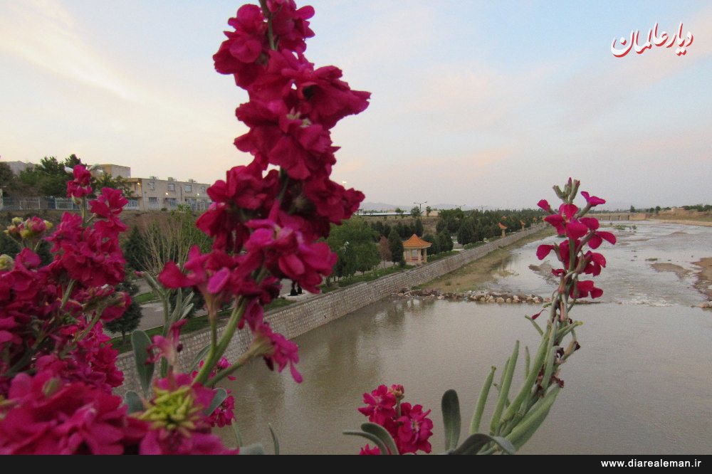 سرازیر شدن آب در رودخانه اناربار گلپایگان پس از مدت ها/ تصاویر