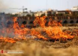 حادثه آتش سوزی در میدان فردوسی/ فیلم