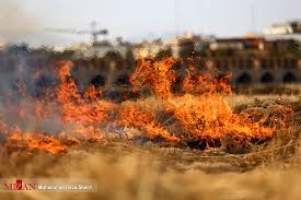 حادثه آتش سوزی در میدان فردوسی/ فیلم