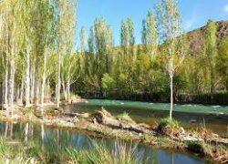 جاذبه های طبیعی گلپایگان
